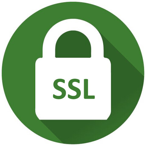 La web es va comercialitzar