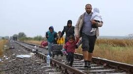 Timeline: REFUGIO Y ASILO