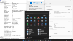 windows 11