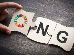 ONG "Organizaciones No Gubernamentales"