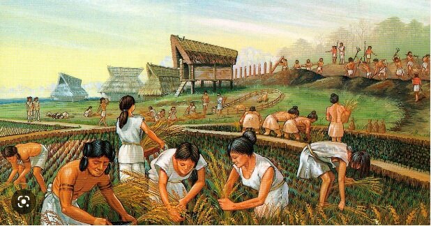 Revolución Neolítico