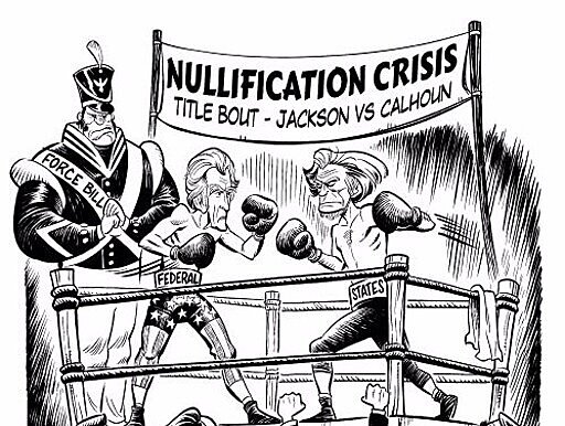 The Nullification Ordinance