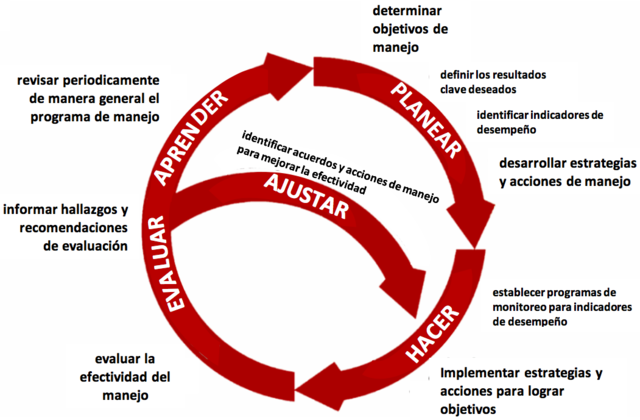 La gestión adaptativa