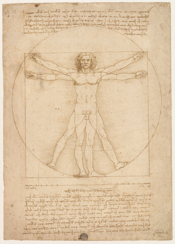 L'uomo Vitruviano