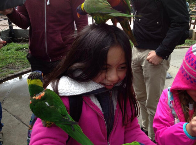 kc zoo field trip