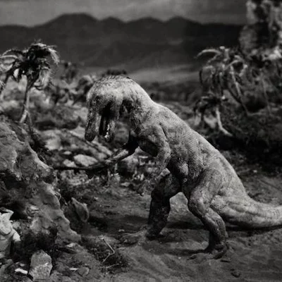 Timeline: STOP MOTION