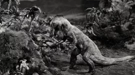 Timeline: STOP MOTION