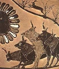 Helios's Cattle