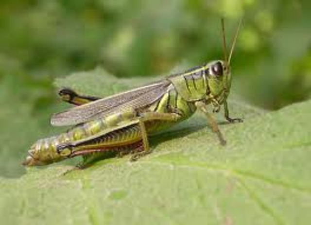 First Recording Session!!!