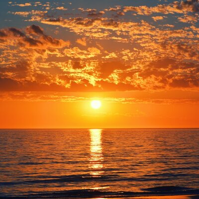 Timeline: La meva vida