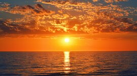 Timeline: La meva vida