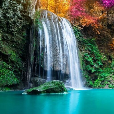 Timeline: LA MEVA VIDA