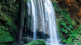 Timeline: LA MEVA VIDA