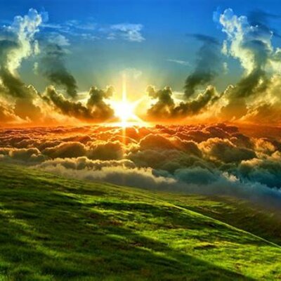 Timeline: LA MEVA VIDA