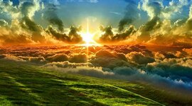 Timeline: LA MEVA VIDA