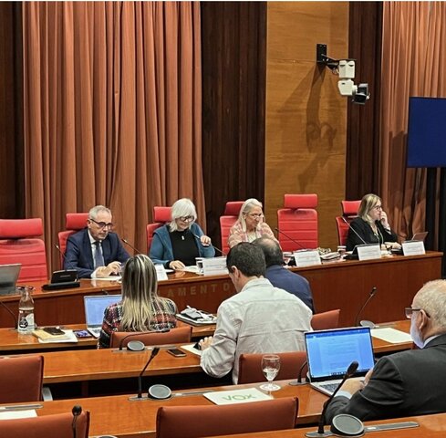 inestabilitat politica constant