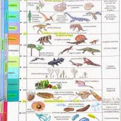 Timeline: El gran calendario