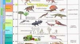 Timeline: El gran calendario