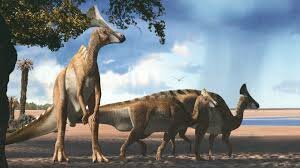 Primeras evoluciones