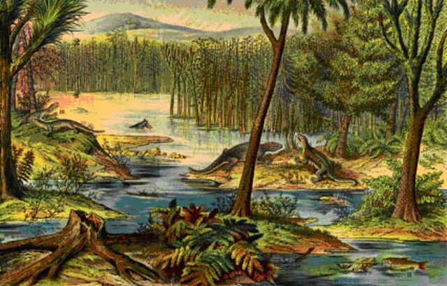 Paleozoico: Del Devónico al Carbonífero