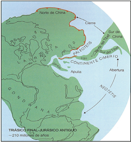 Paleozoico: Del Carbonífero al Pérmico