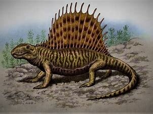 Paleozoico: 6- El Pérmico