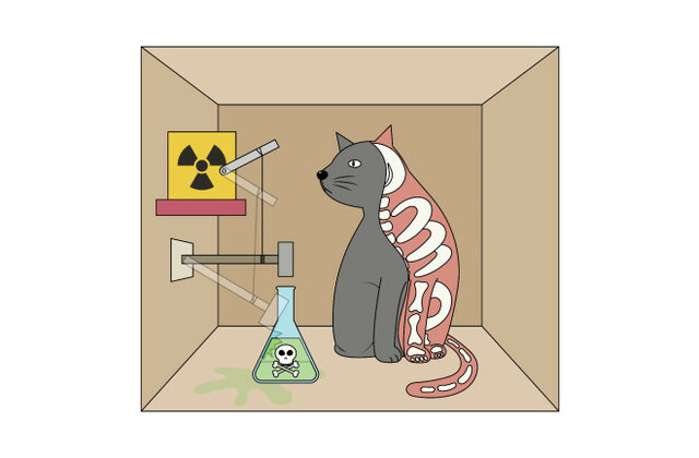 Schrodinger-Schrodinger's Cat Paradox