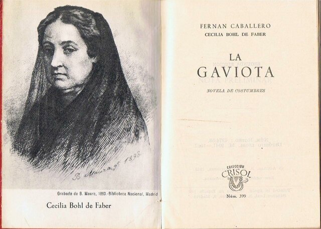 NARRACIÓN. LA GAVIOTA