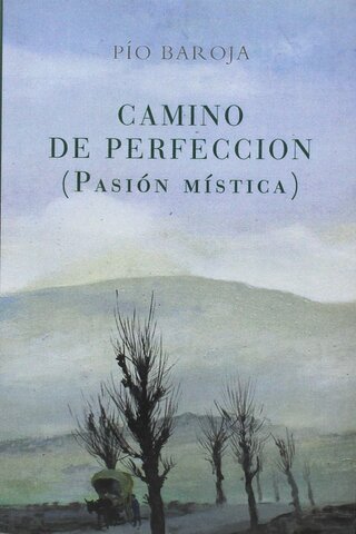 NARRACIÓN. CAMINO DE PERFECCIÓN (Pasión Mística)