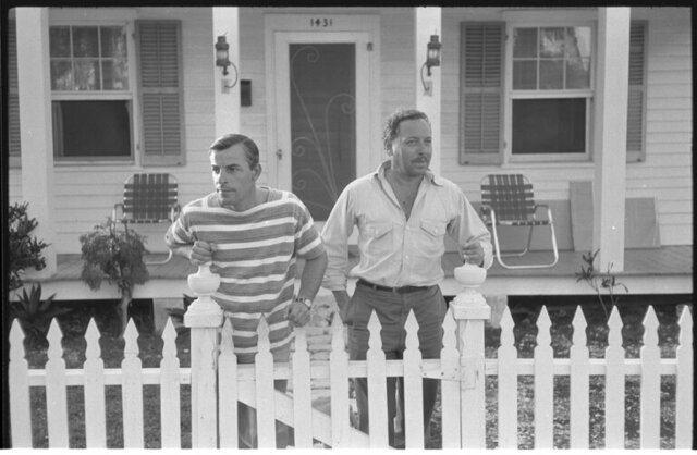 Williams's Partner Frank Merlo Died