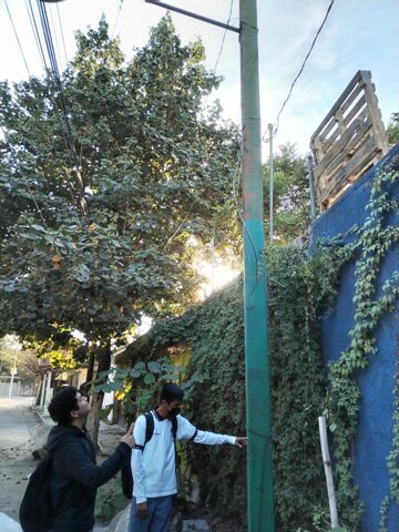 Revisión de alumbrado