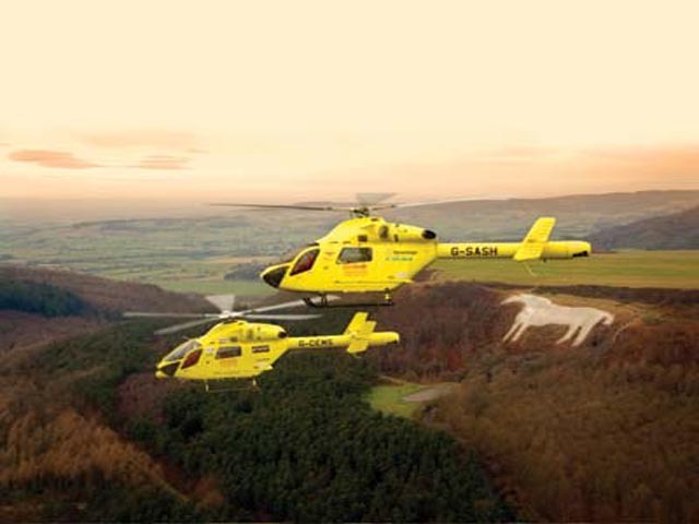 Hamster helps Yorkshire