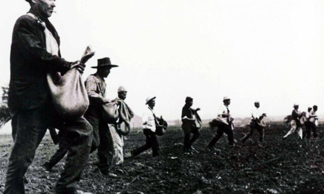 La producción agrícola alcanza el punto más bajo de la década