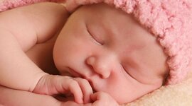 Timeline: LA MEVA VIDA