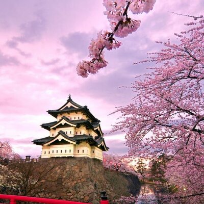 Timeline: LA MEVA VIDA