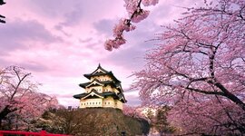 Timeline: LA MEVA VIDA