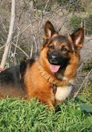 QUAN VA ARRIBAR LA MEVA GOSSA KIRA!!