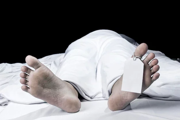 ES VA MORIR LA MEVA BESÀVIA