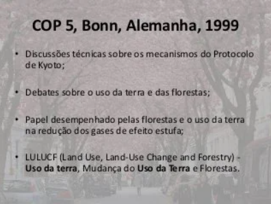 COP5 – Bonn, Alemanha (1999)
