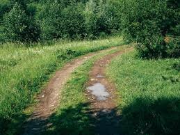 Creación de senderos y caminos