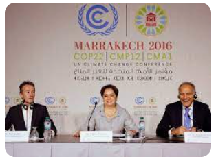 COP22 –  Marrakech, Marrocos (2016)