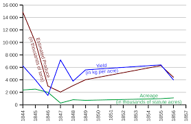 efectes de la crisi econòmica
