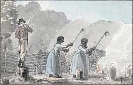 Slavery in Chesapeake and South Carolina