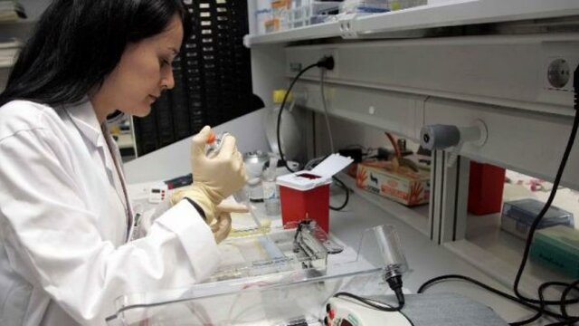 Científicos descubren cómo utilizar células de piel humana para crear células madre embrionarias.