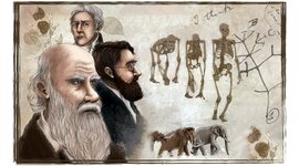 Timeline: Posturas de la evolución