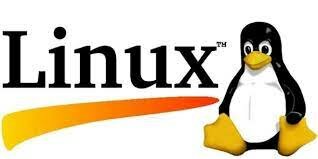 se desarrolla Linux