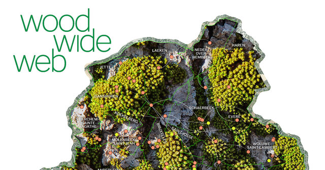 word wide web supera a cualquier conexion de redes a nivel mundial