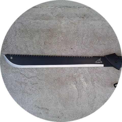 Rebelión de los Machetes