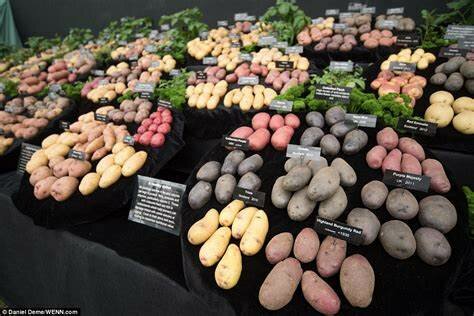 The Royal Society of London for Improving Natural Knowledge advocates the potato