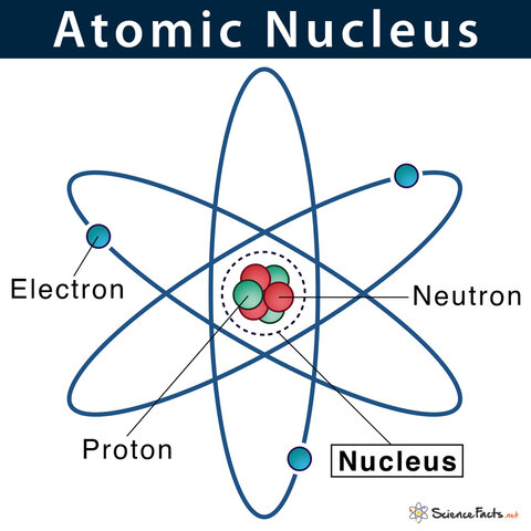 The Nucleus